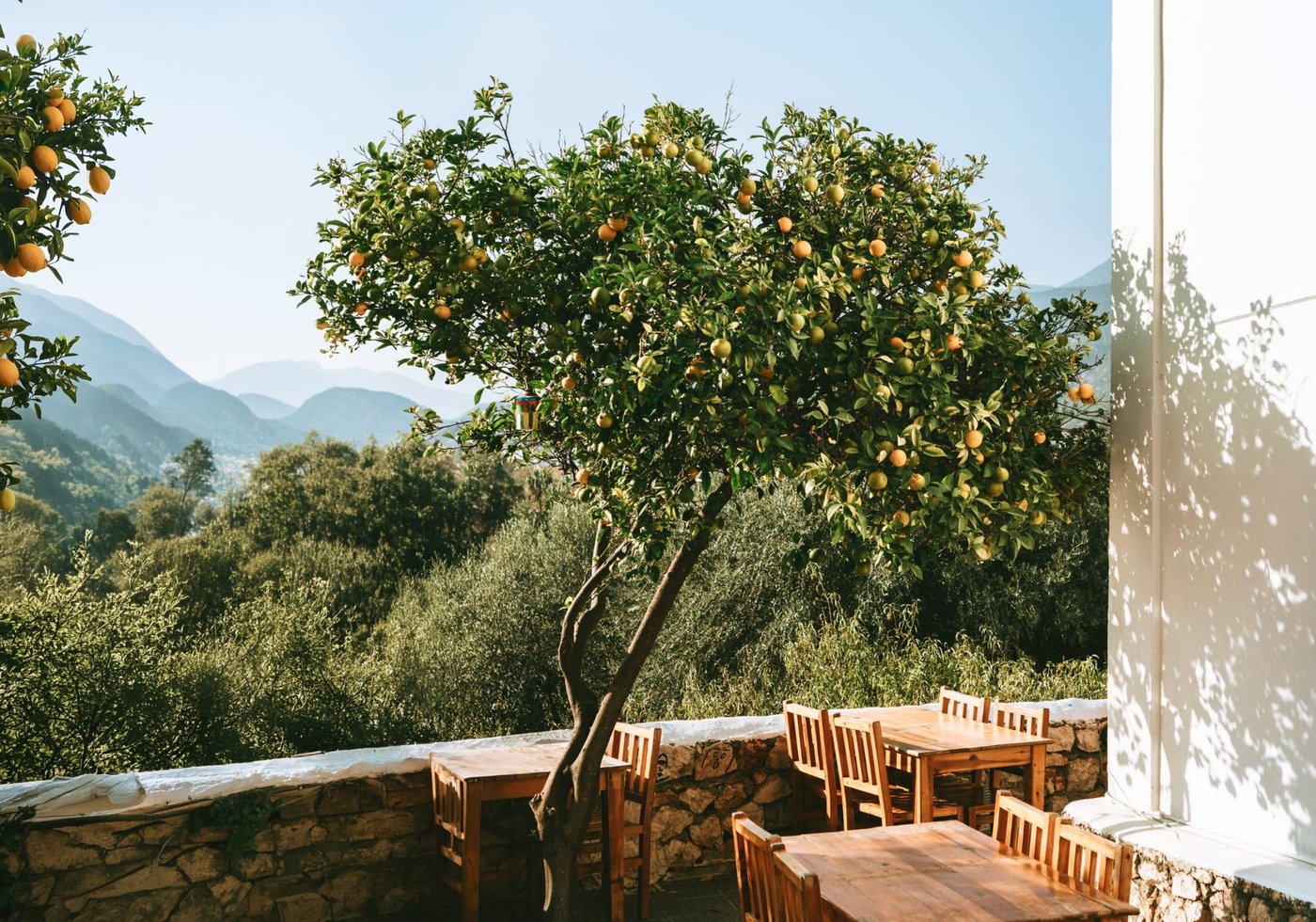 A lemon tree and outdoor dining terrace with mountain views in the Italian countryside.