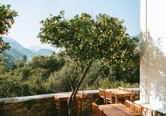 A lemon tree and outdoor dining terrace with mountain views in the Italian countryside.