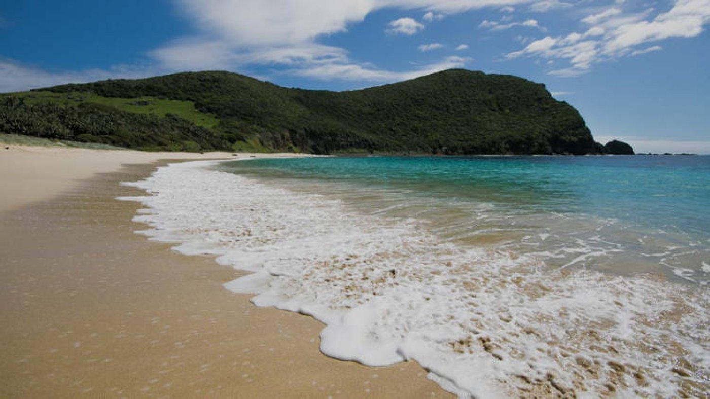 Ned's Beach